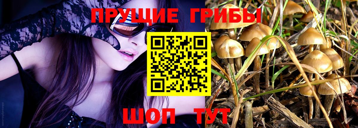 Галлюциногенные грибы прущие грибы  Галлюциногенные грибы Magic Shrooms  Вход с VPN  купить закладку  Белогорск 