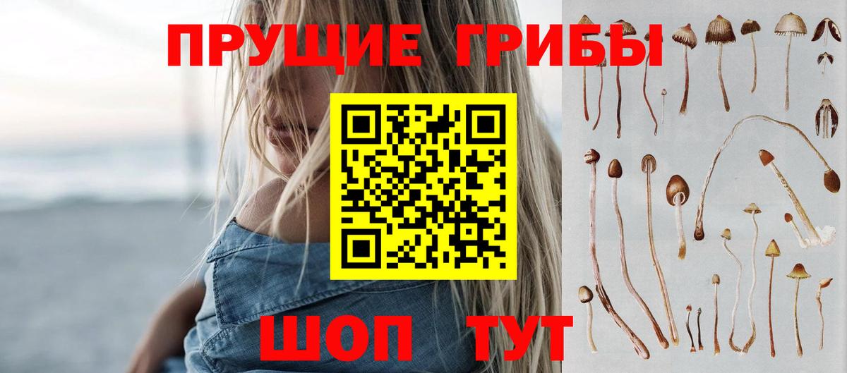 Псилоцибиновые грибы ЛСД Белогорск
